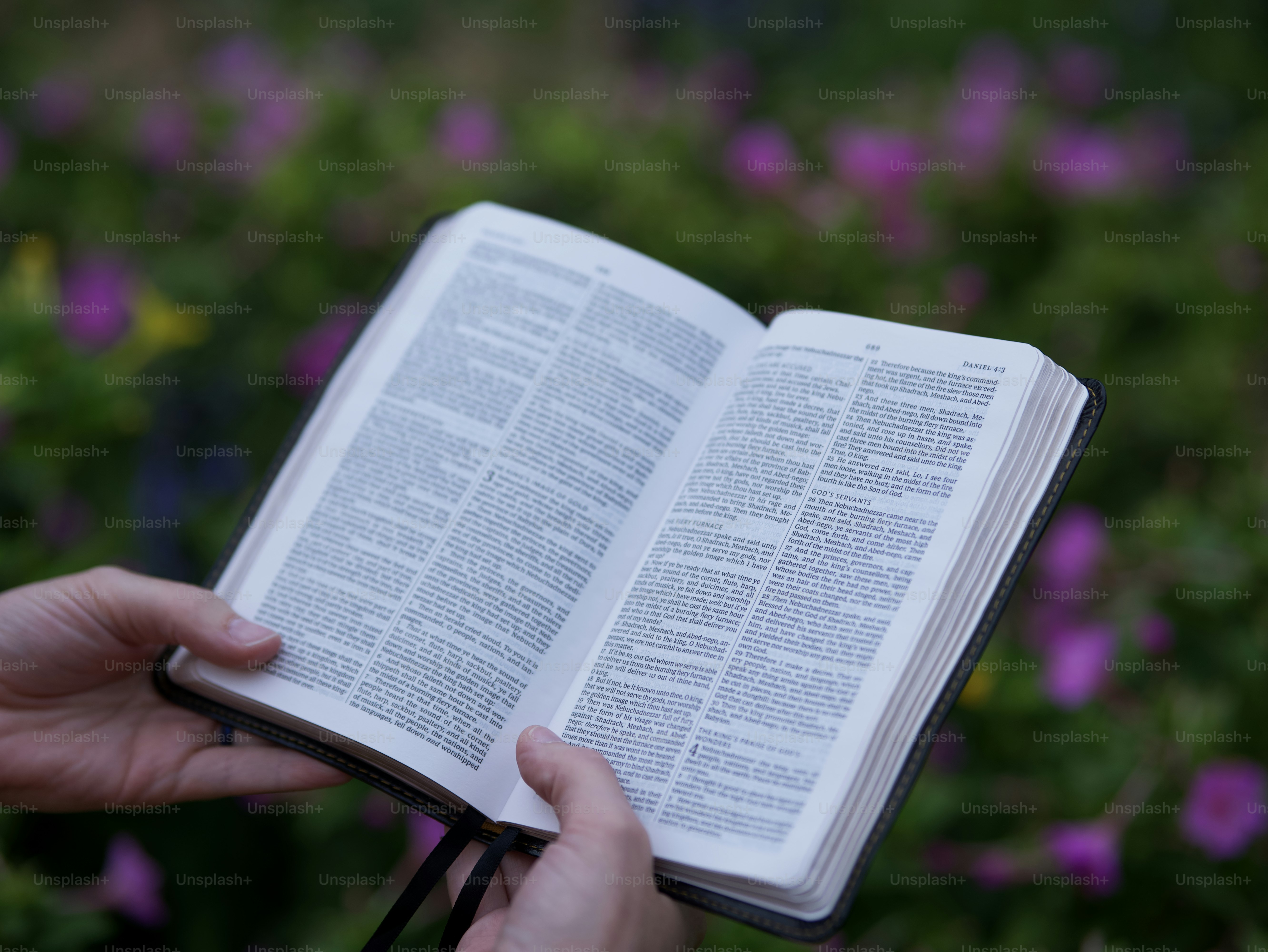 Bible Vs Quran What S The Difference This Vs That