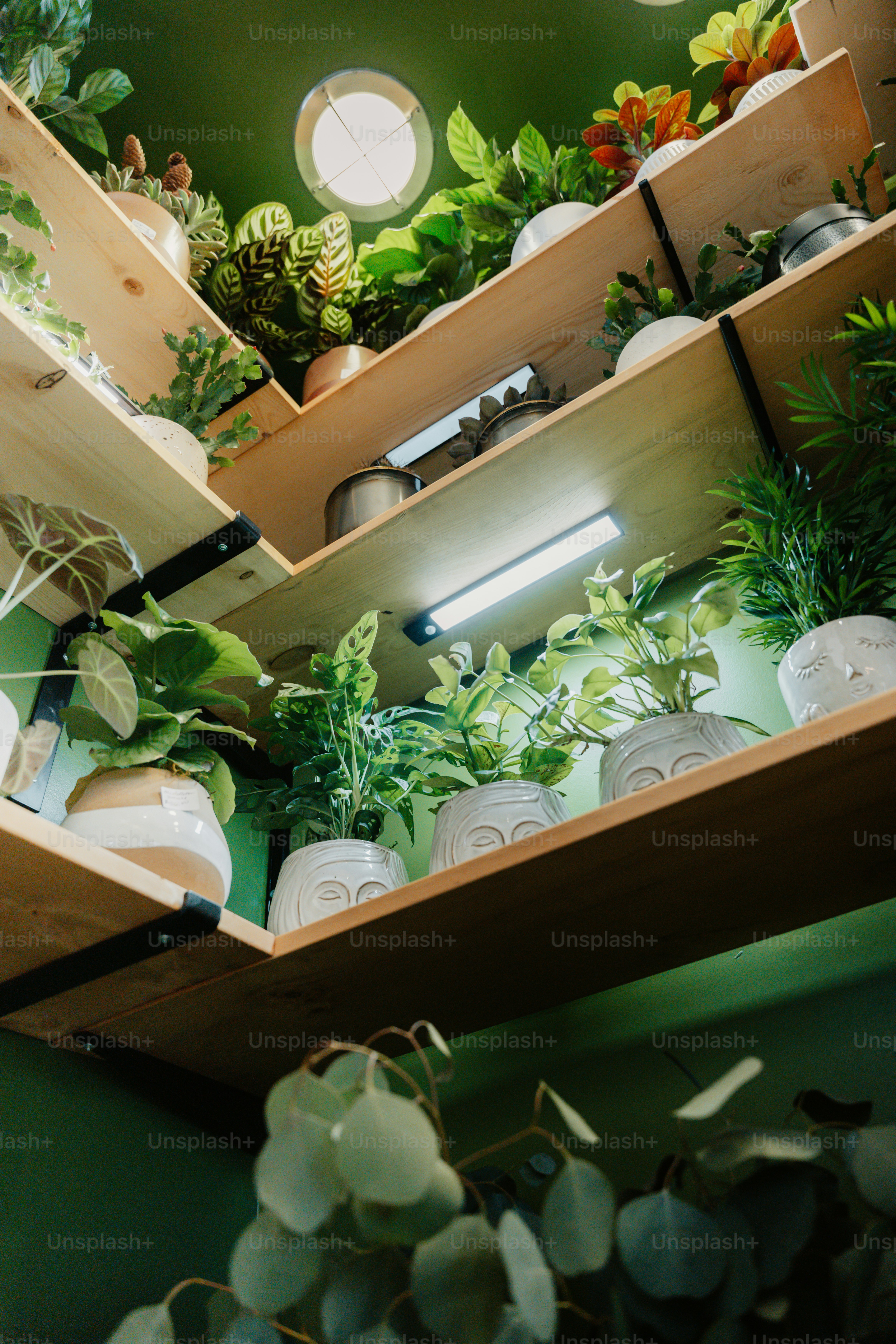 Planter Box Flowers - Download Classic Dark Background | Full HD