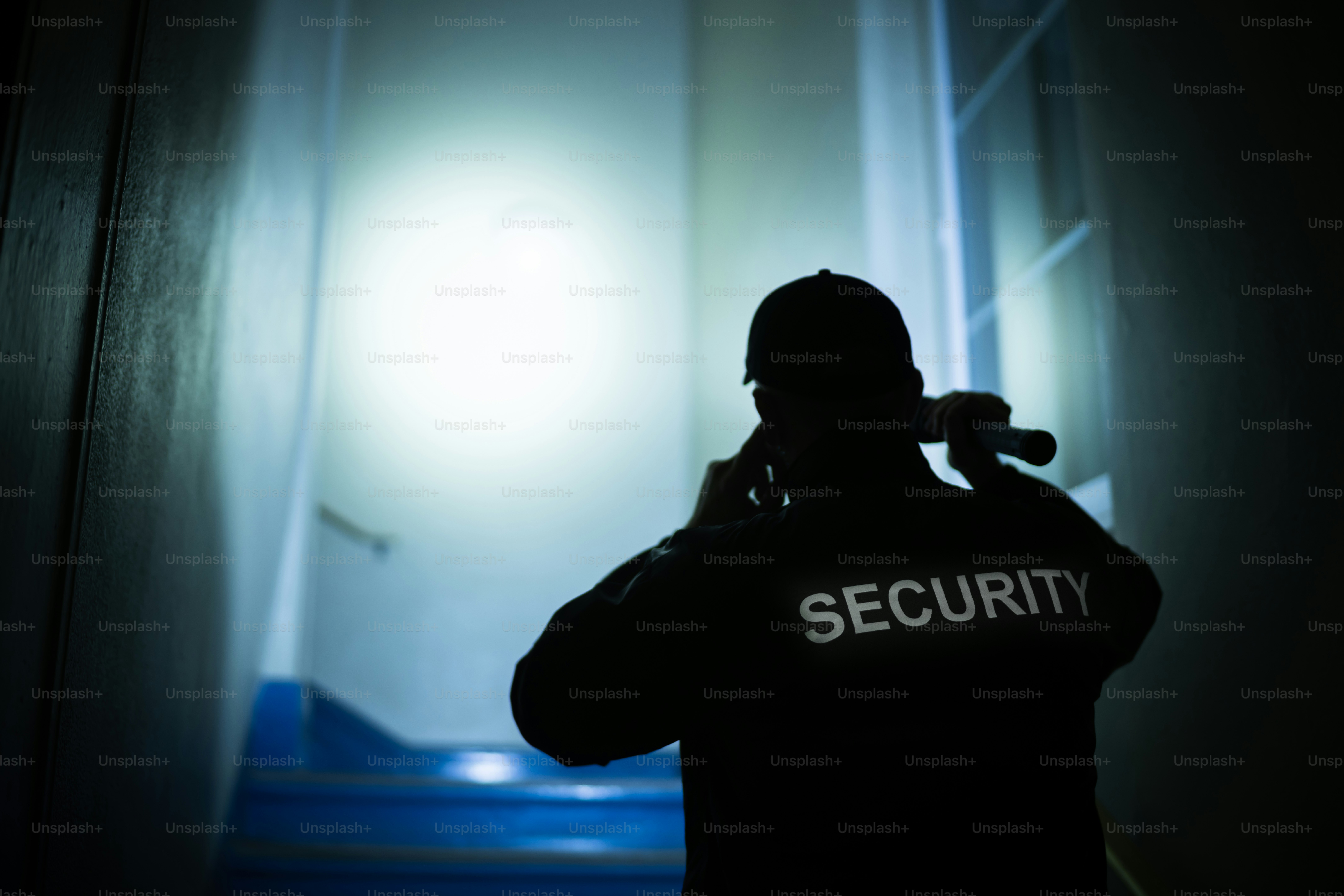 The Role of Private Security Services in Protecting Urban Businesses and Residences