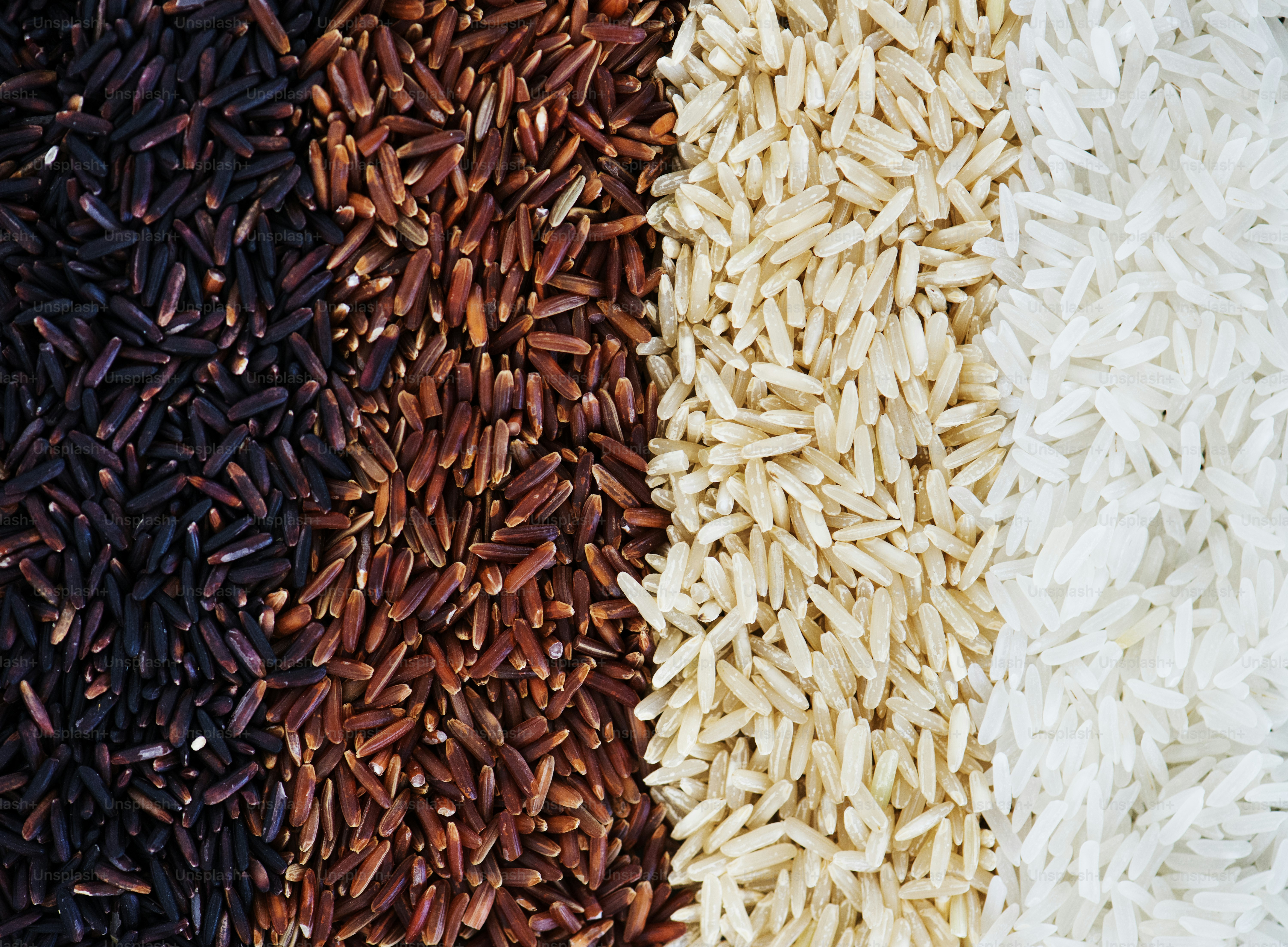 South Sudan Retains Most Affordable Rice in Region