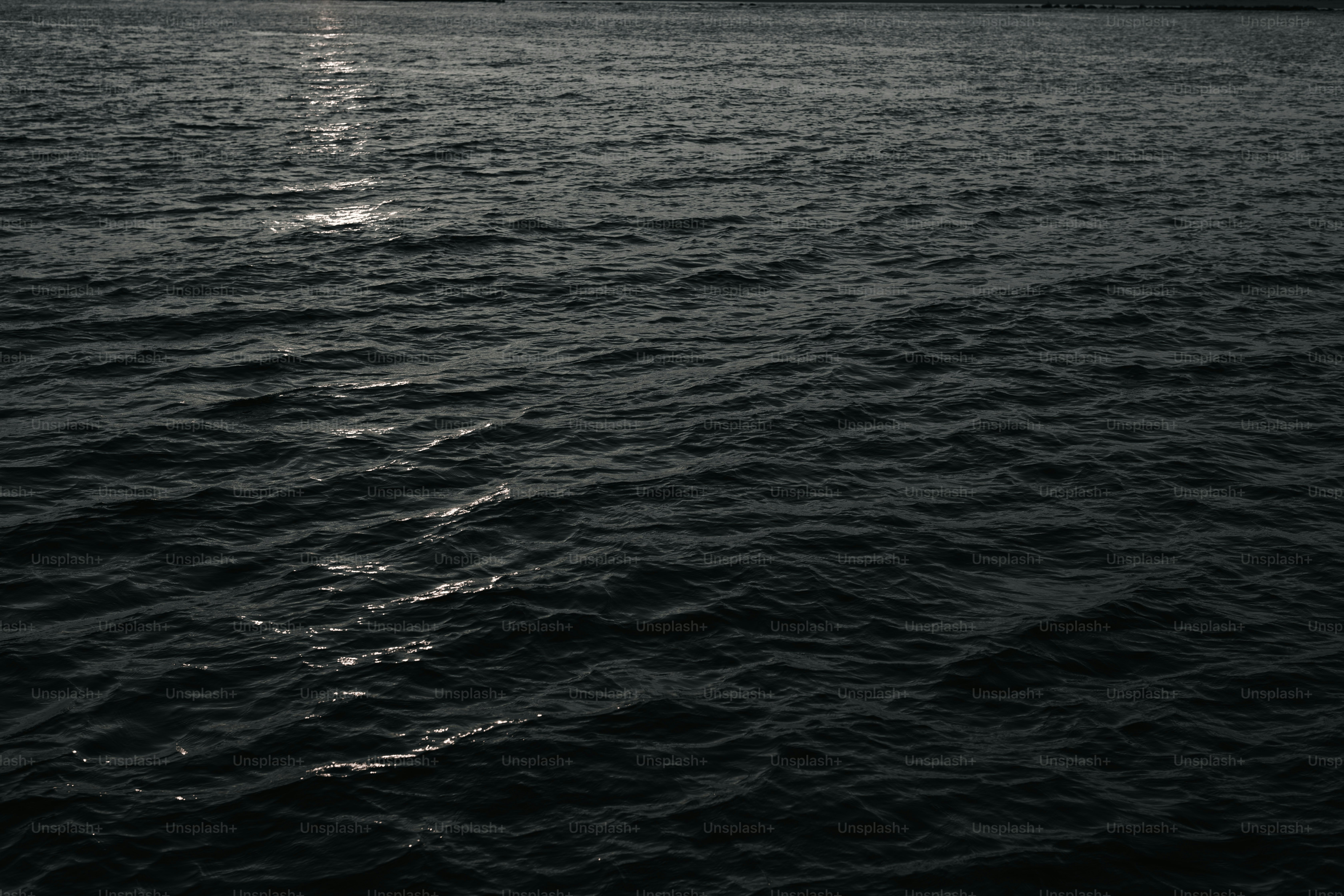 500 Intro Pictures Hd Download Free Images On Unsplash