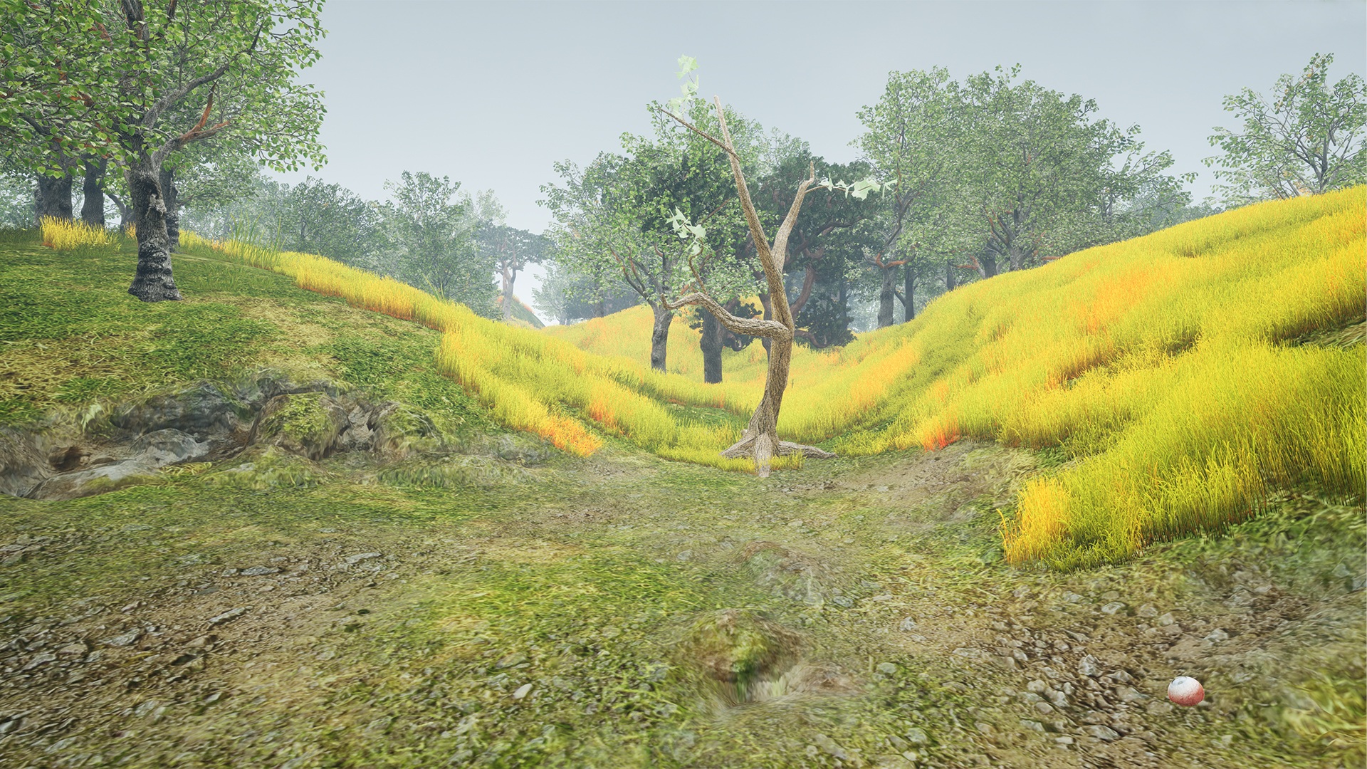 If A Tree Falls In A Forest And No One Is Around To Hear It Does It Make A Sound George Berkeley Quotes Sayings Quotes Nigeria