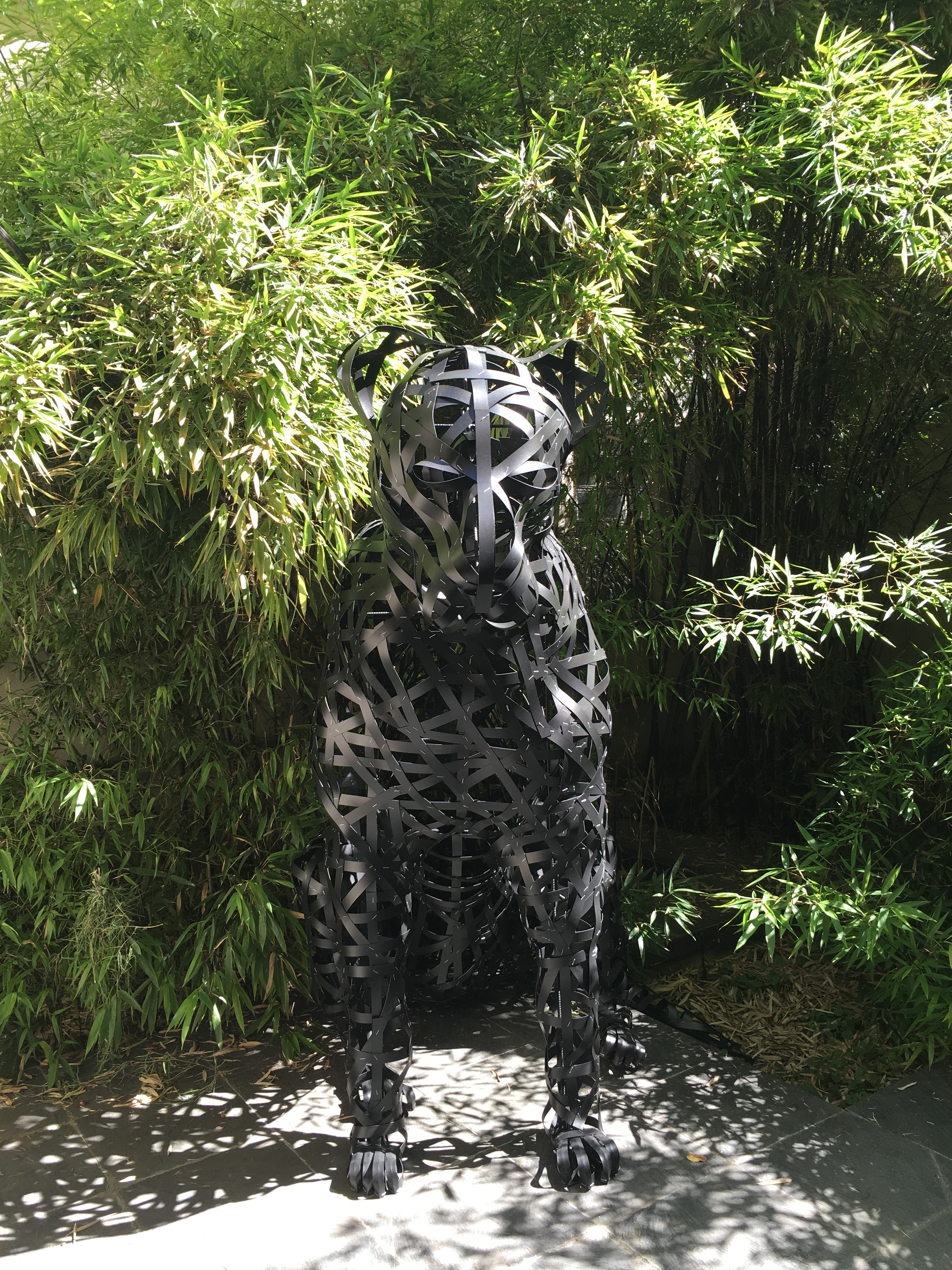 panthère dans une cour parisienne