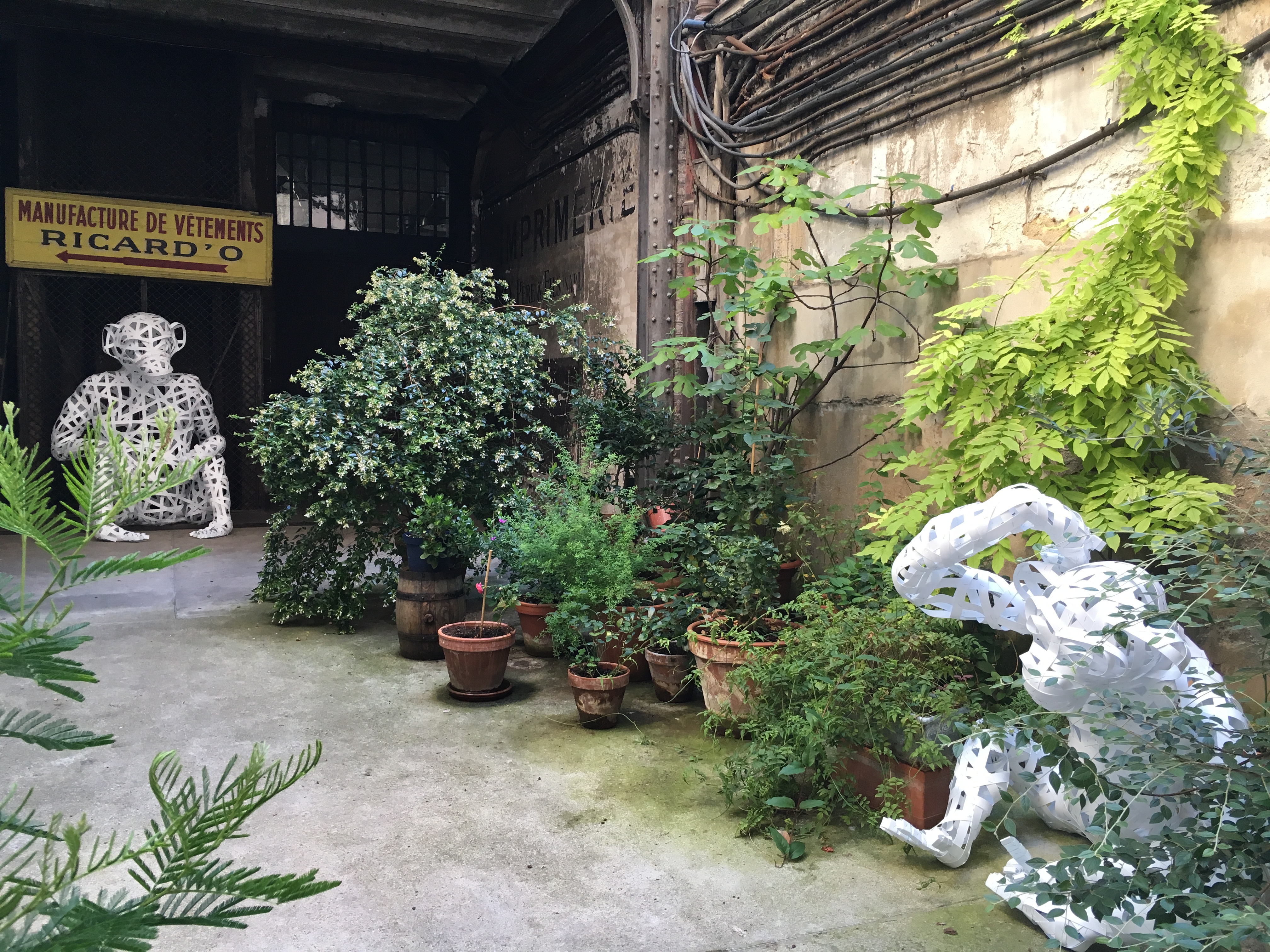 singes dans une cour parisienne