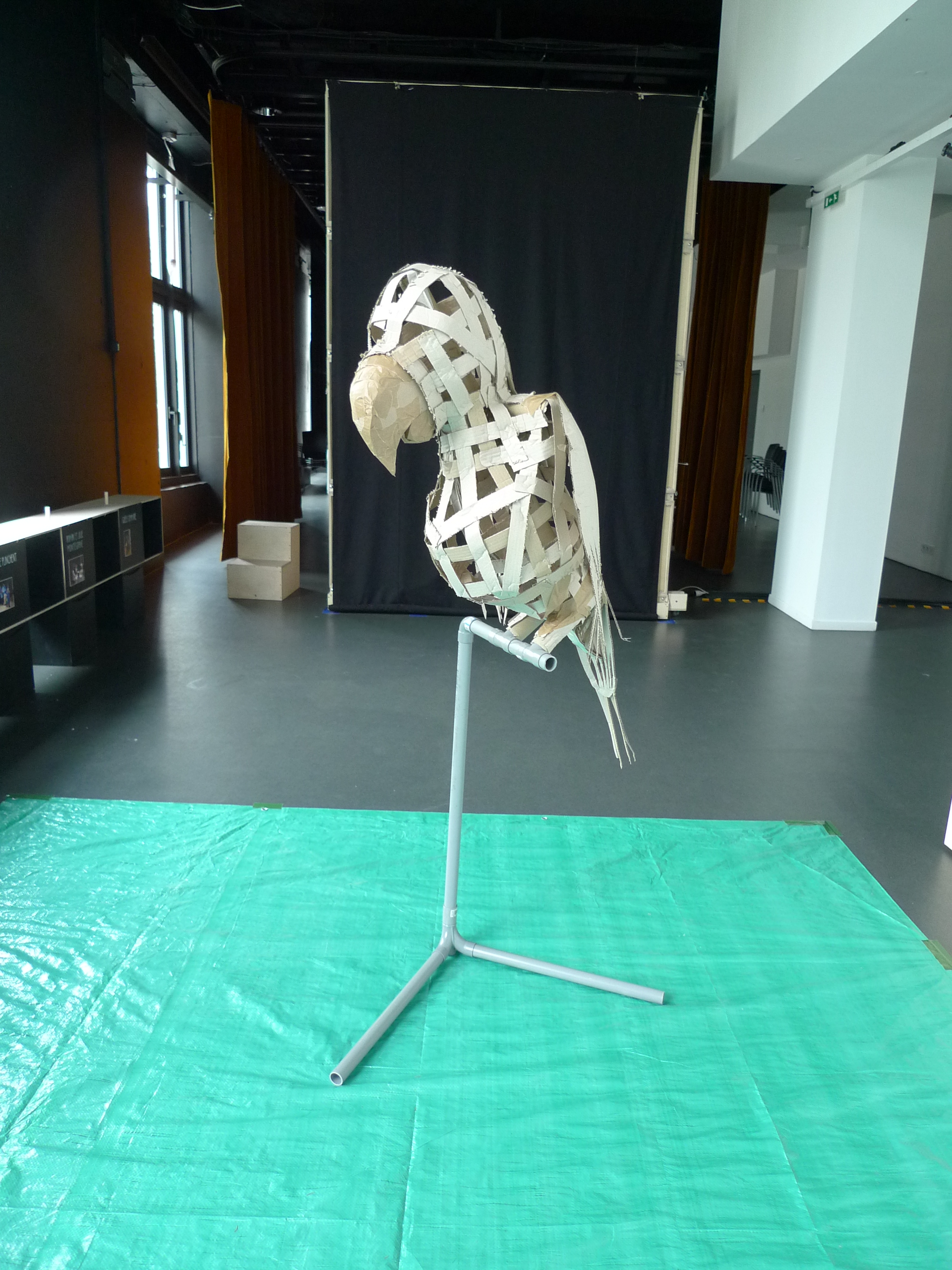 un perroquet pour le CAUE92