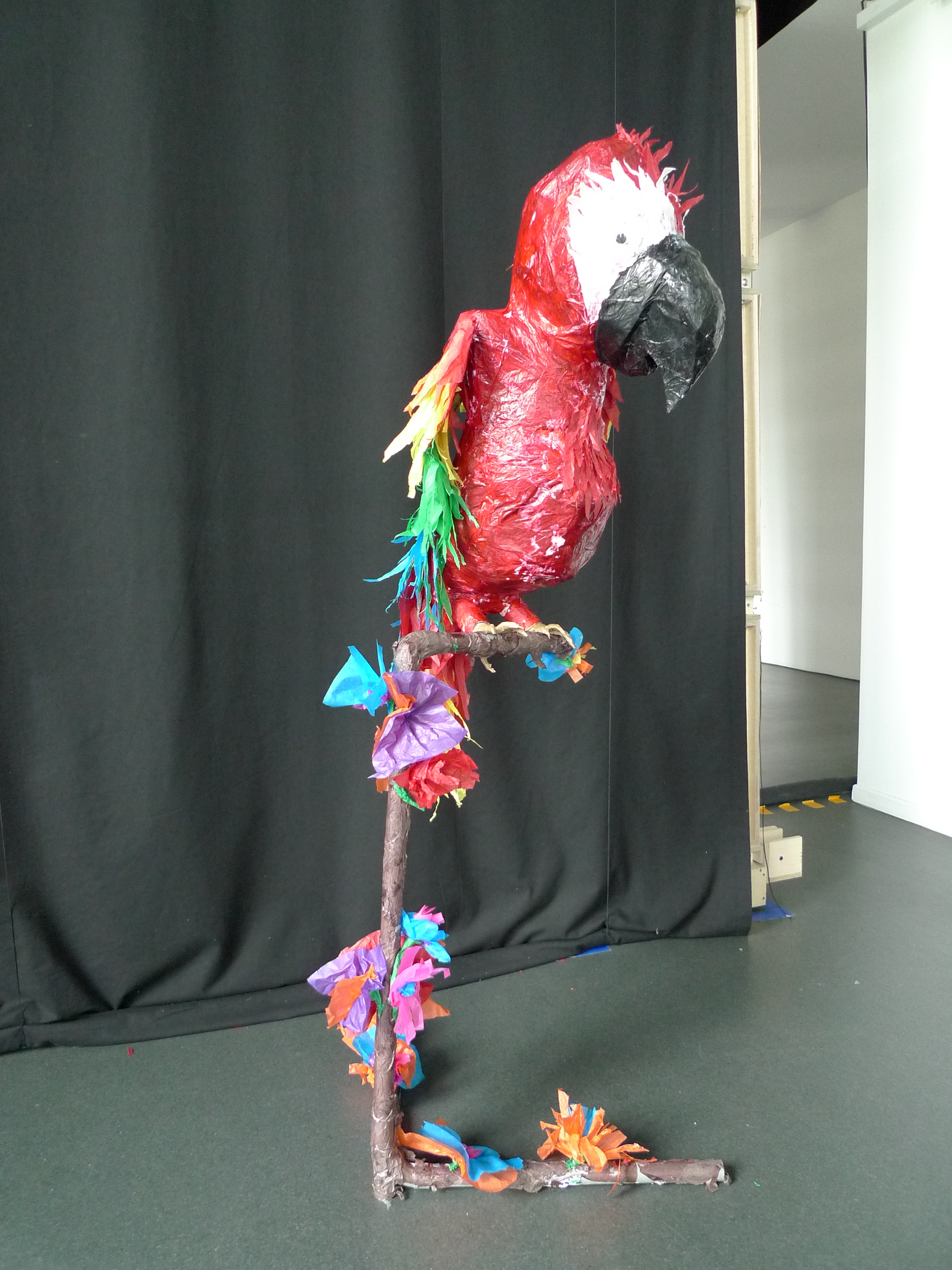 un perroquet pour le CAUE92