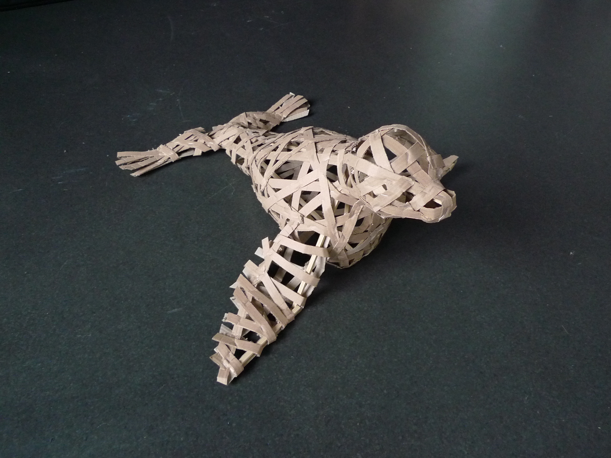 un phoque à habiller