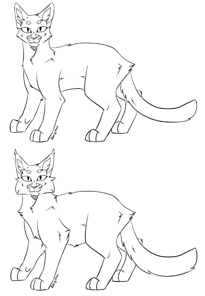 photo Free To Use Warrior Cat Bases amino apps