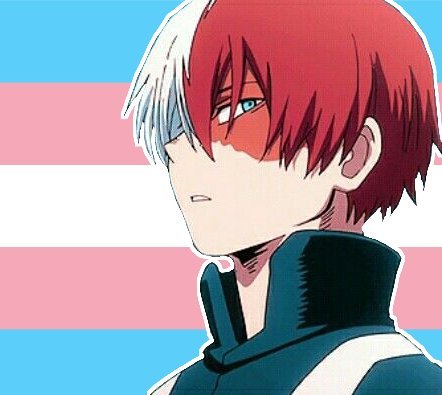 pics Todoroki Shouto Male Red And White Hair Anime Character Name amino apps