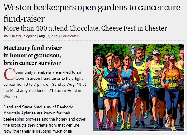 Article in Chester Telegraph on Open Garden Fundraiser