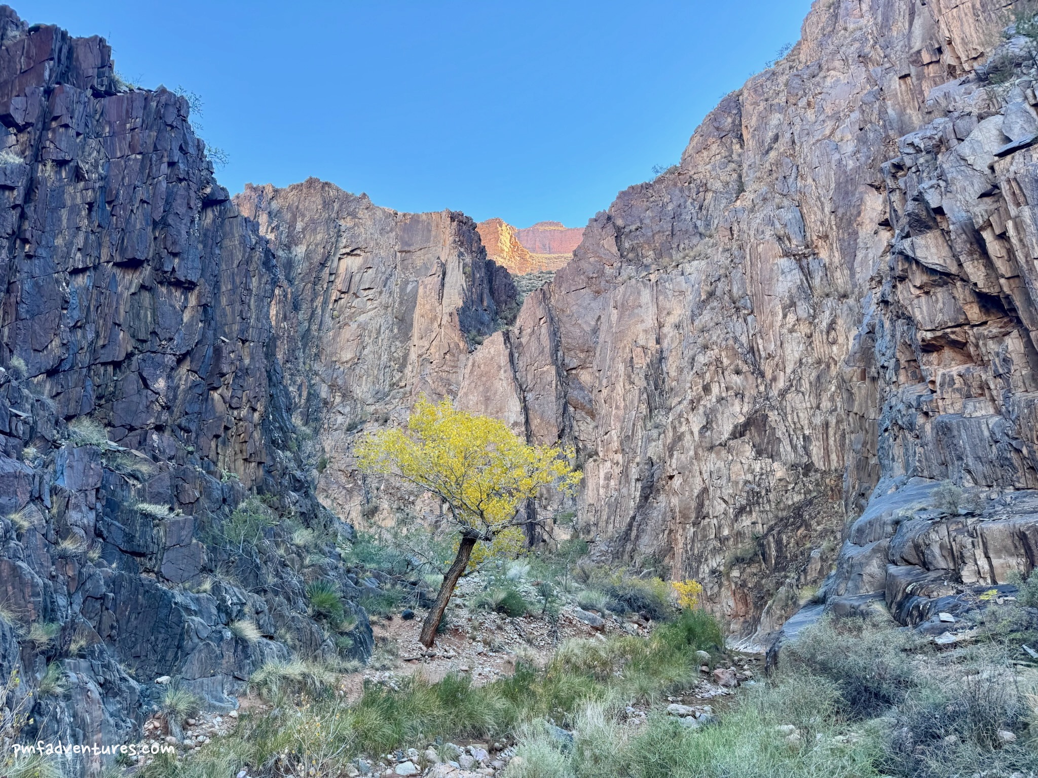 PMF Adventures trip report for Grand Canyon backcountry permit: 2027 lottery guide