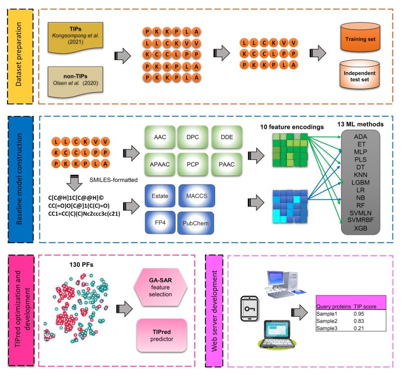 Tipred Ii - Mobile Colorful Illustrations for Desktop