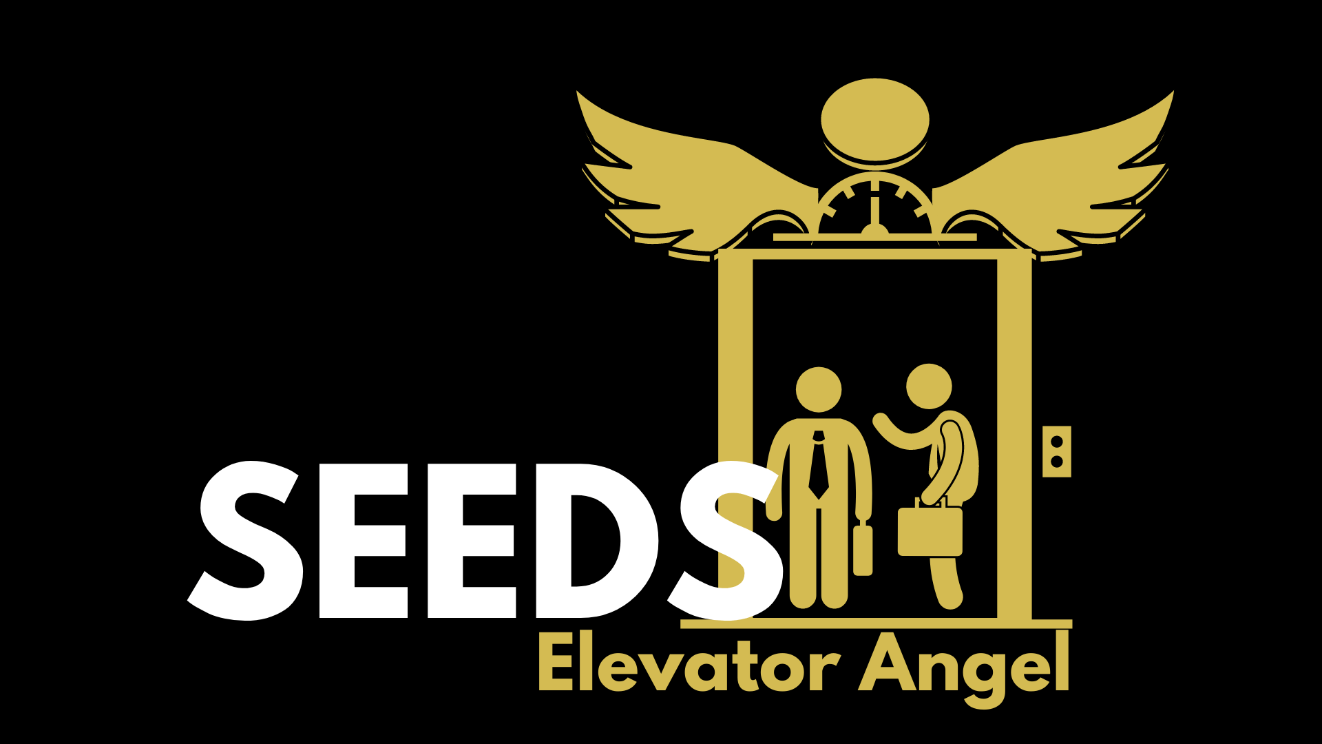 SEEDS Elevator Angel
