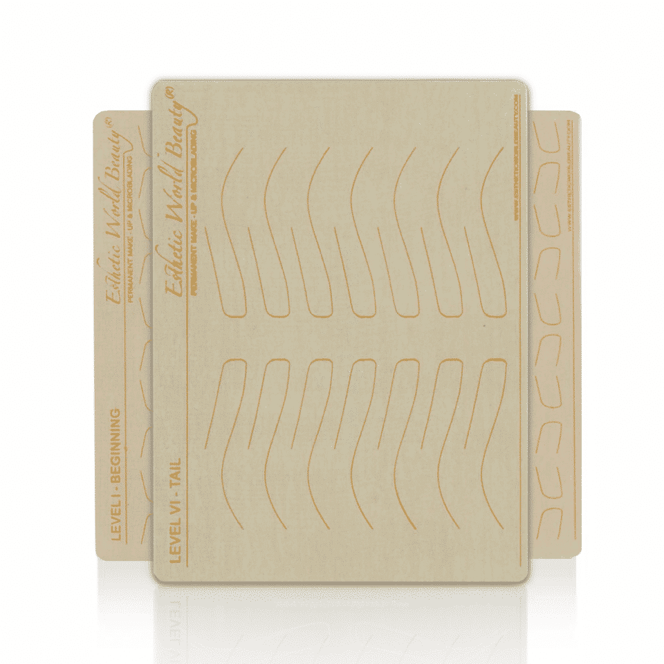 Brow Template No Ink Practice Skin (6 levels) 3 Pcs