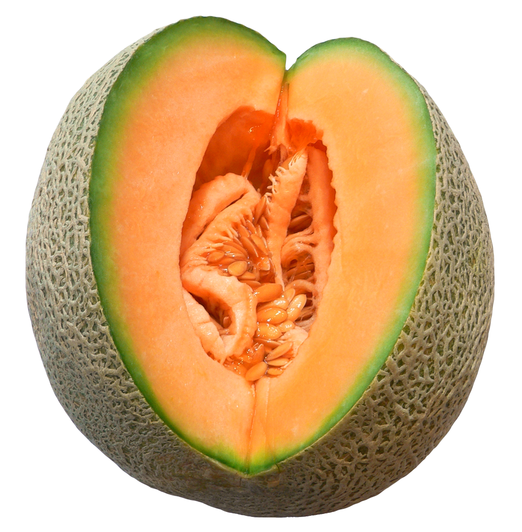 Melon png