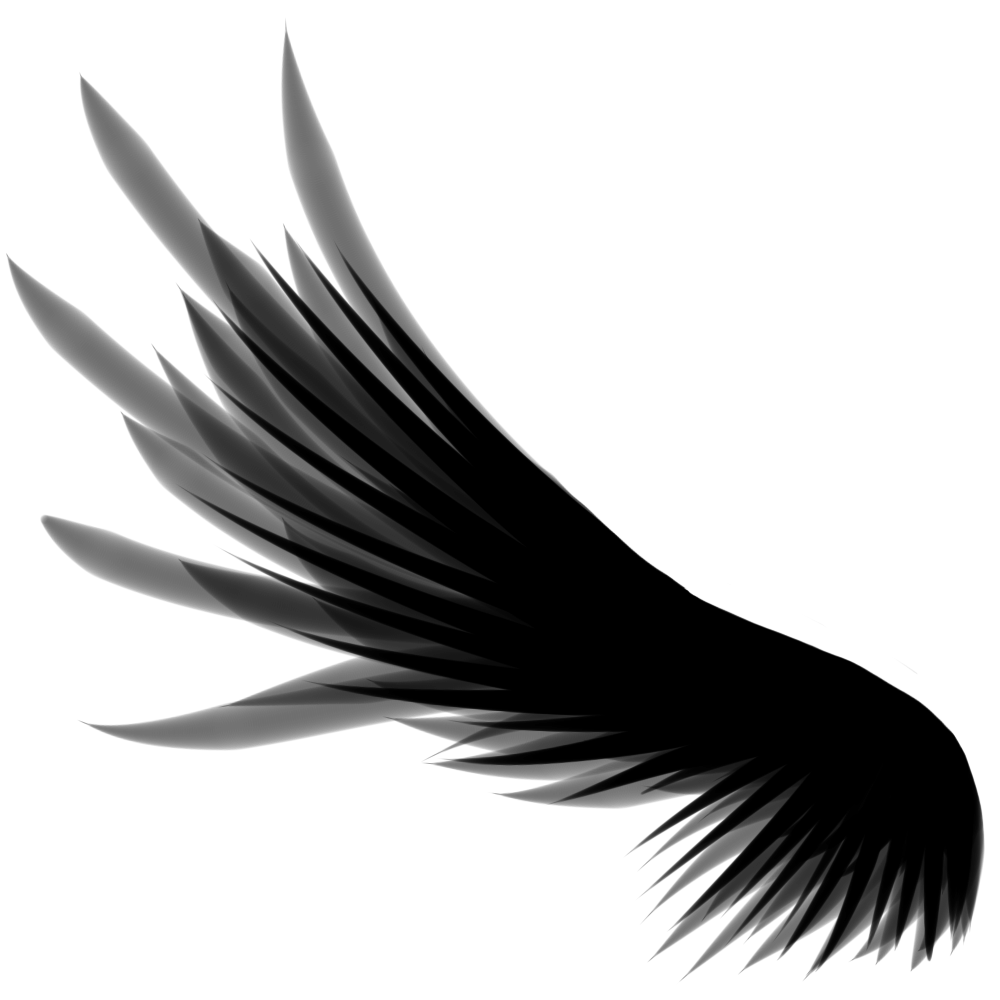 Wings Png