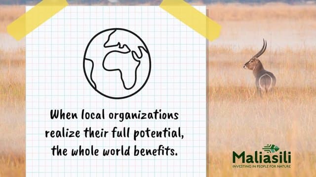 Biodiversity Organizations Insteading - Stunning Colorful Photo - 4K