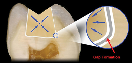 Image described by caption and surrounding text.