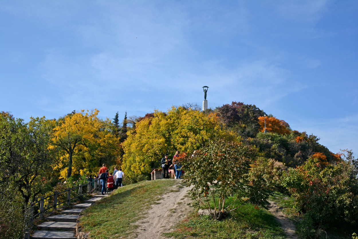 Desire path on Gellért hill
