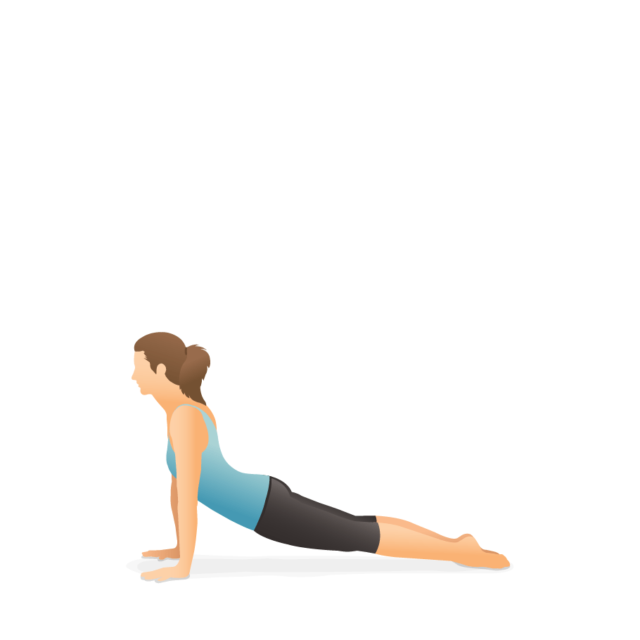 Yoga poses dictionary