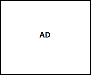 300x250