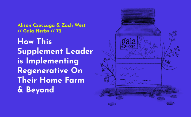 Partner With Us Regen - Geometric Pictures - Modern Desktop Collection