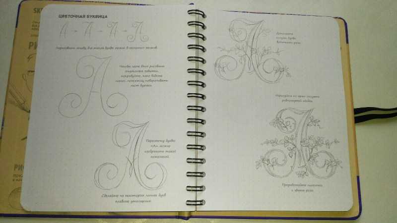 как нарисовать что нибудь интересное