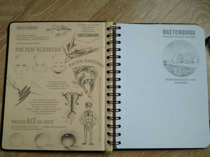 как нарисовать что нибудь интересное