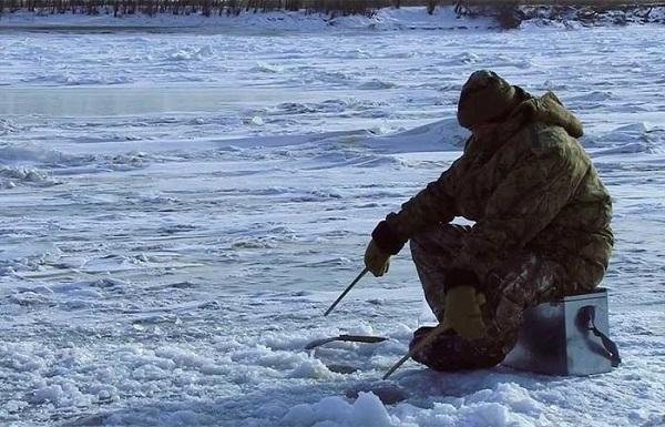 Что делать, когда твоя рыба не клюет? Если рыба не клюет. Факторы, которые влияют на поведение рыбы
