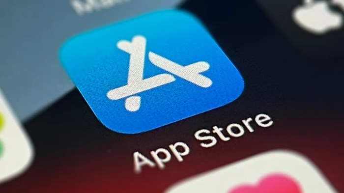 Como baixar aplicativos no iPhone? Um guia completo sobre a App Store ... App dragon dictation android