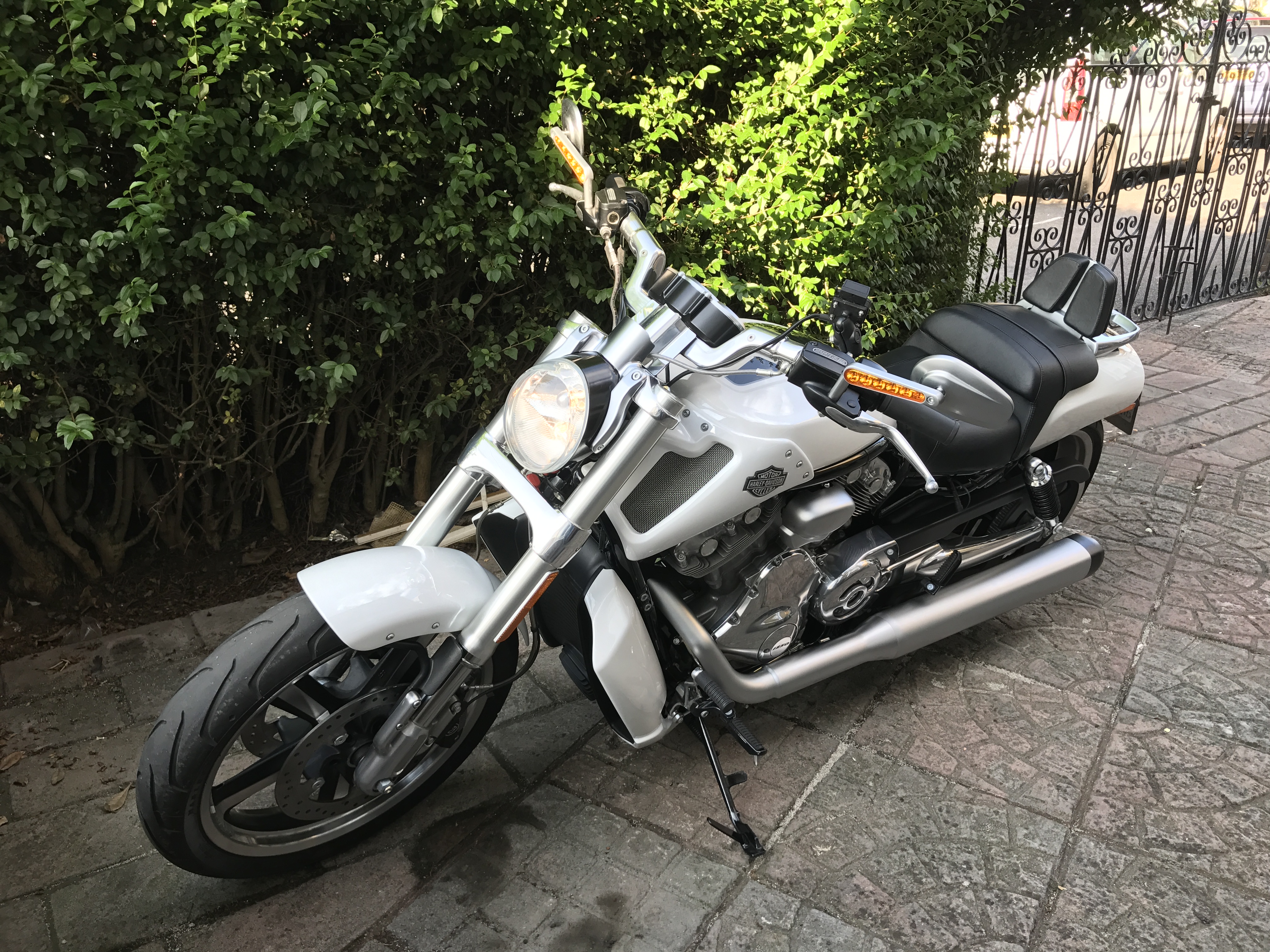 V-Rod Muscle 2018