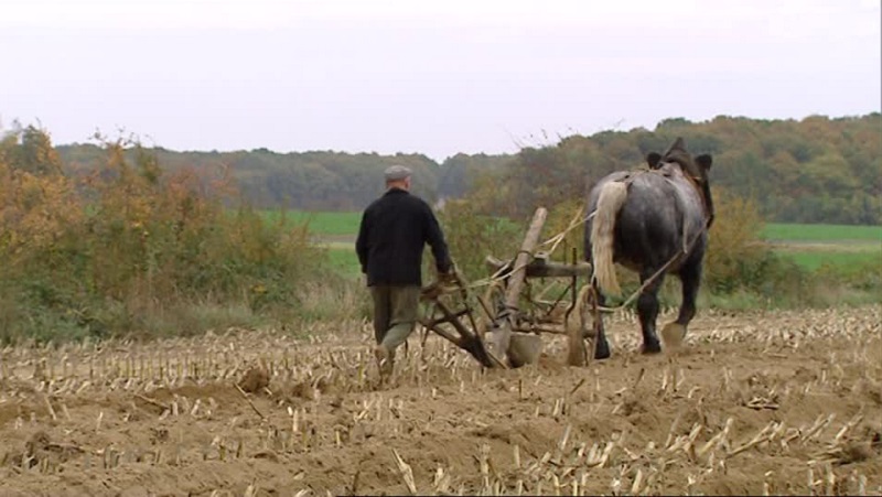 Read more about the article Putting Jesus First