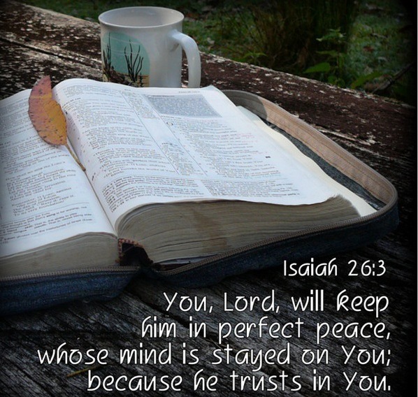 Read more about the article Unshakeable Trust