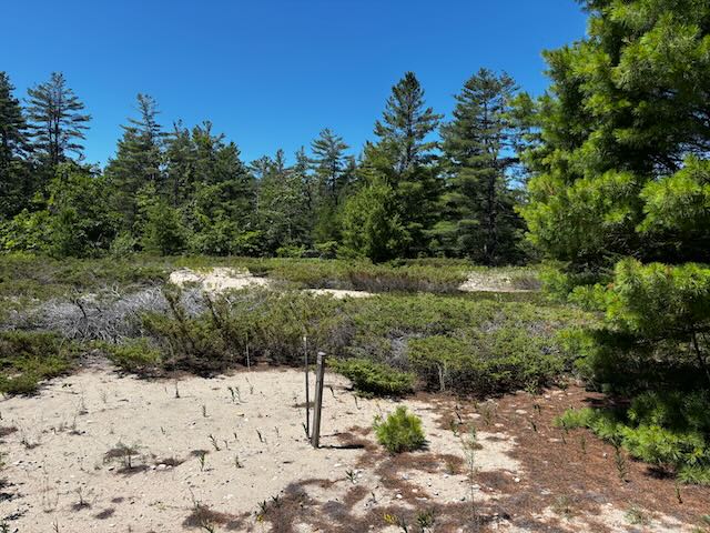 East side facing west, from the southeast corner of lot