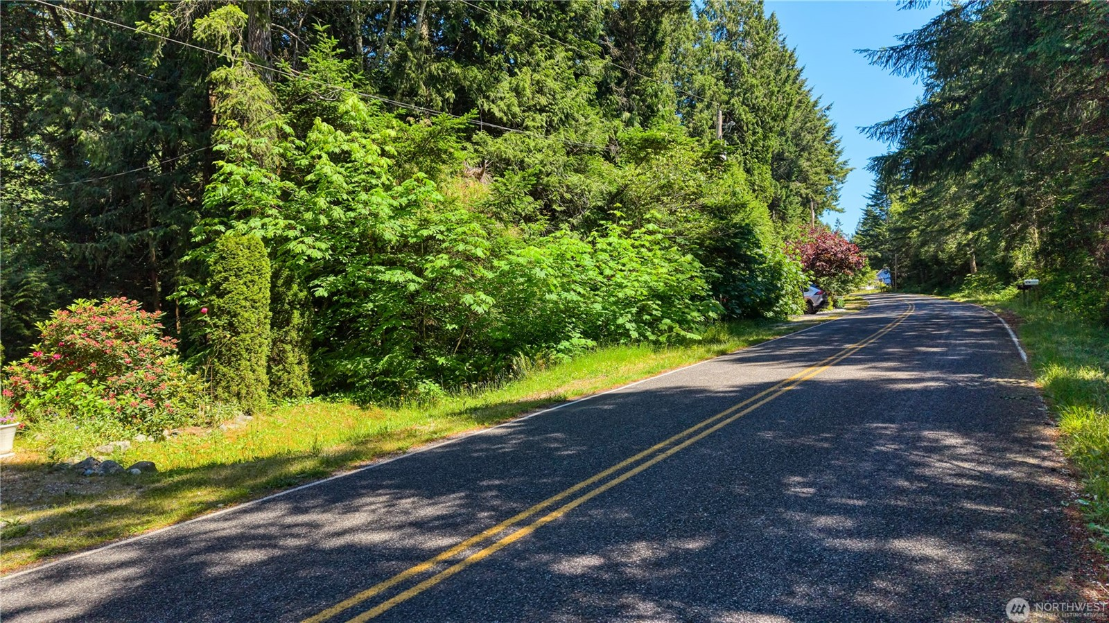 Province Rd, Point Roberts, WA 98281 – 0.2 Acres