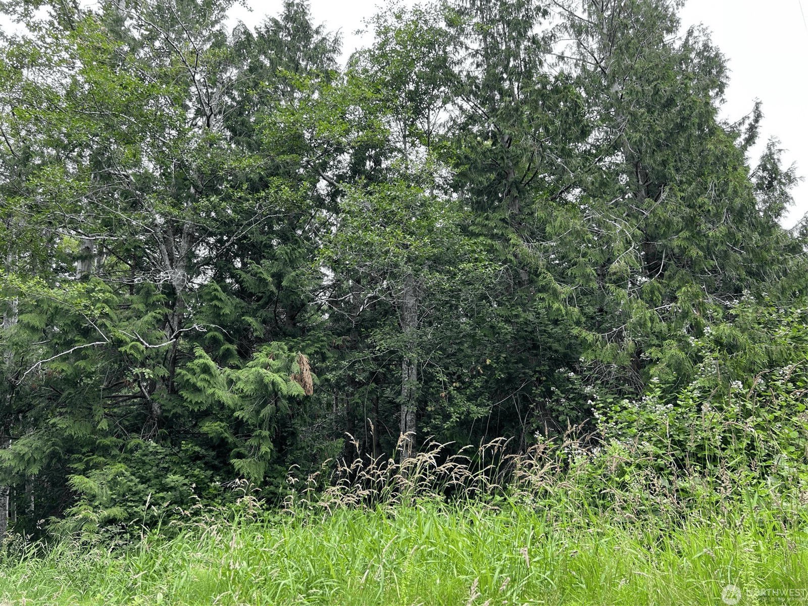 Lot 7 – Rex St, Point Roberts, WA 98281 – 0.2 Acres — New