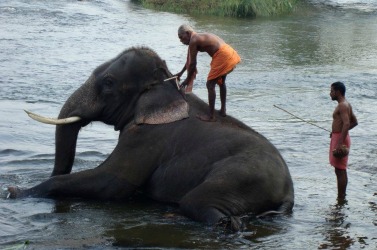 Southern India