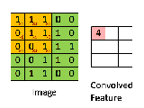 Convolutional Neural Networks In R Poissonisfish
