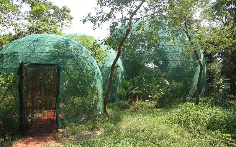01-Butterfly-park