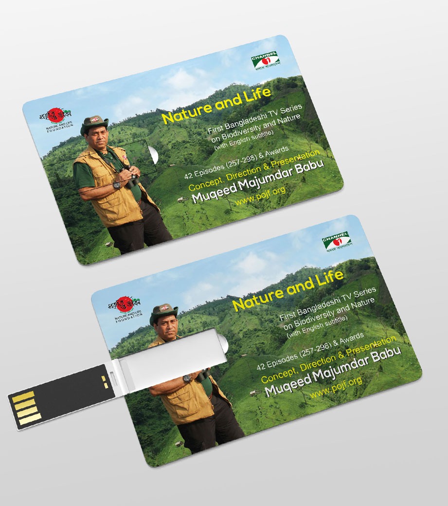 Pendrive
