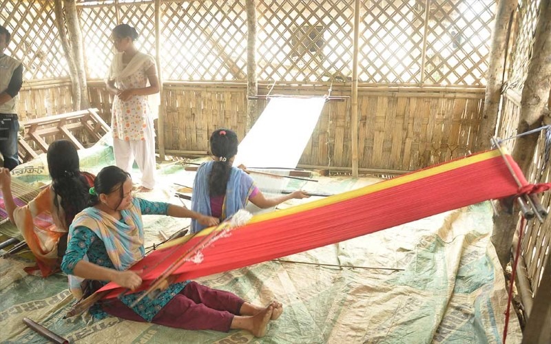 01-Alternative-Livelihood-Development