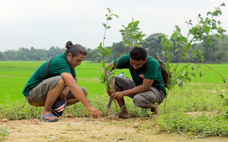 01-Tree-Plantation_profile