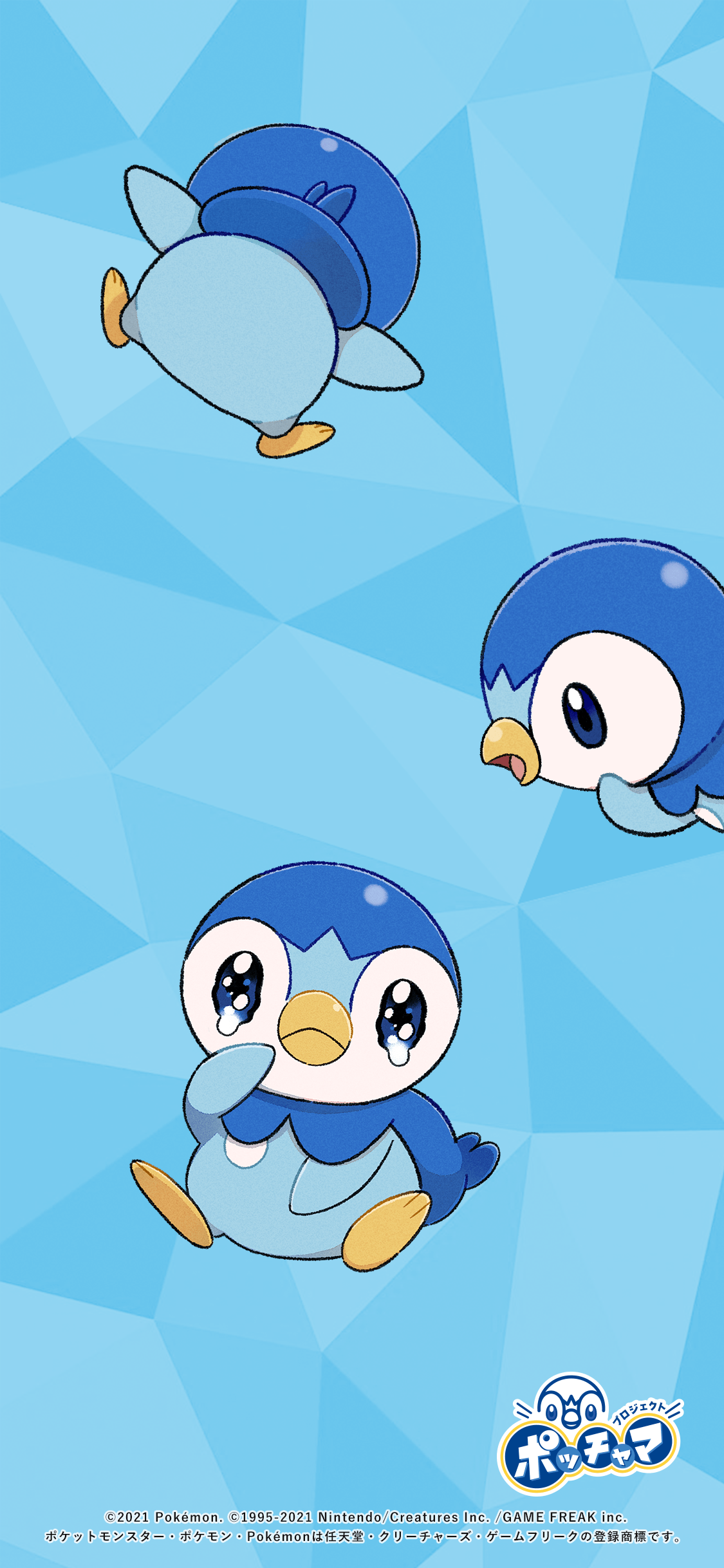 Have Some Wonderful Piplup Mobile Wallpapers Pokejungle