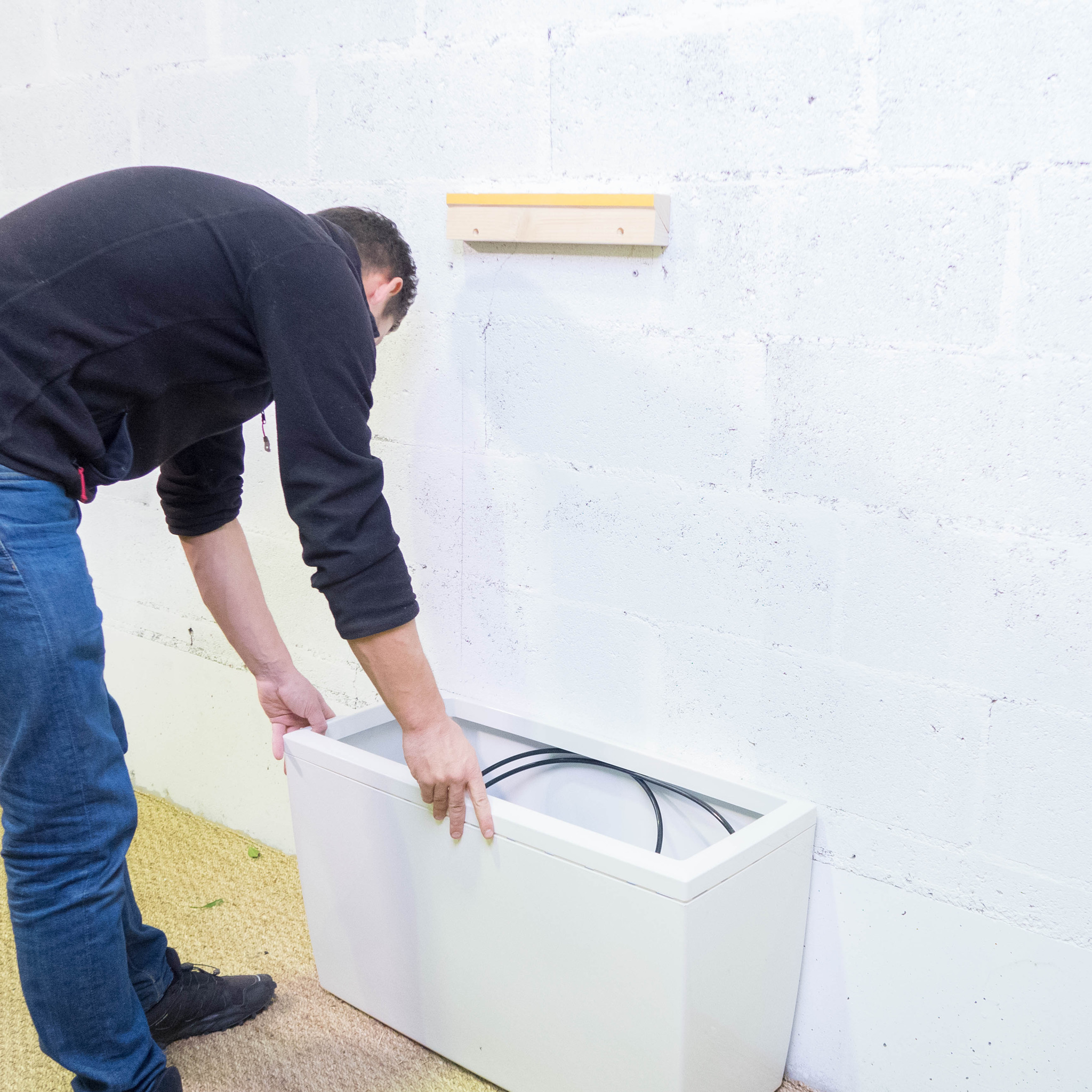 Installation mur végétal