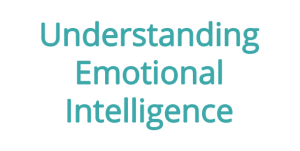 emo Leadership development