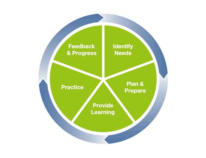 compressed-coaching-cycle