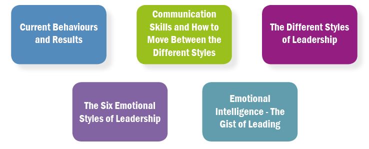 senior-coaching-and-mentoring