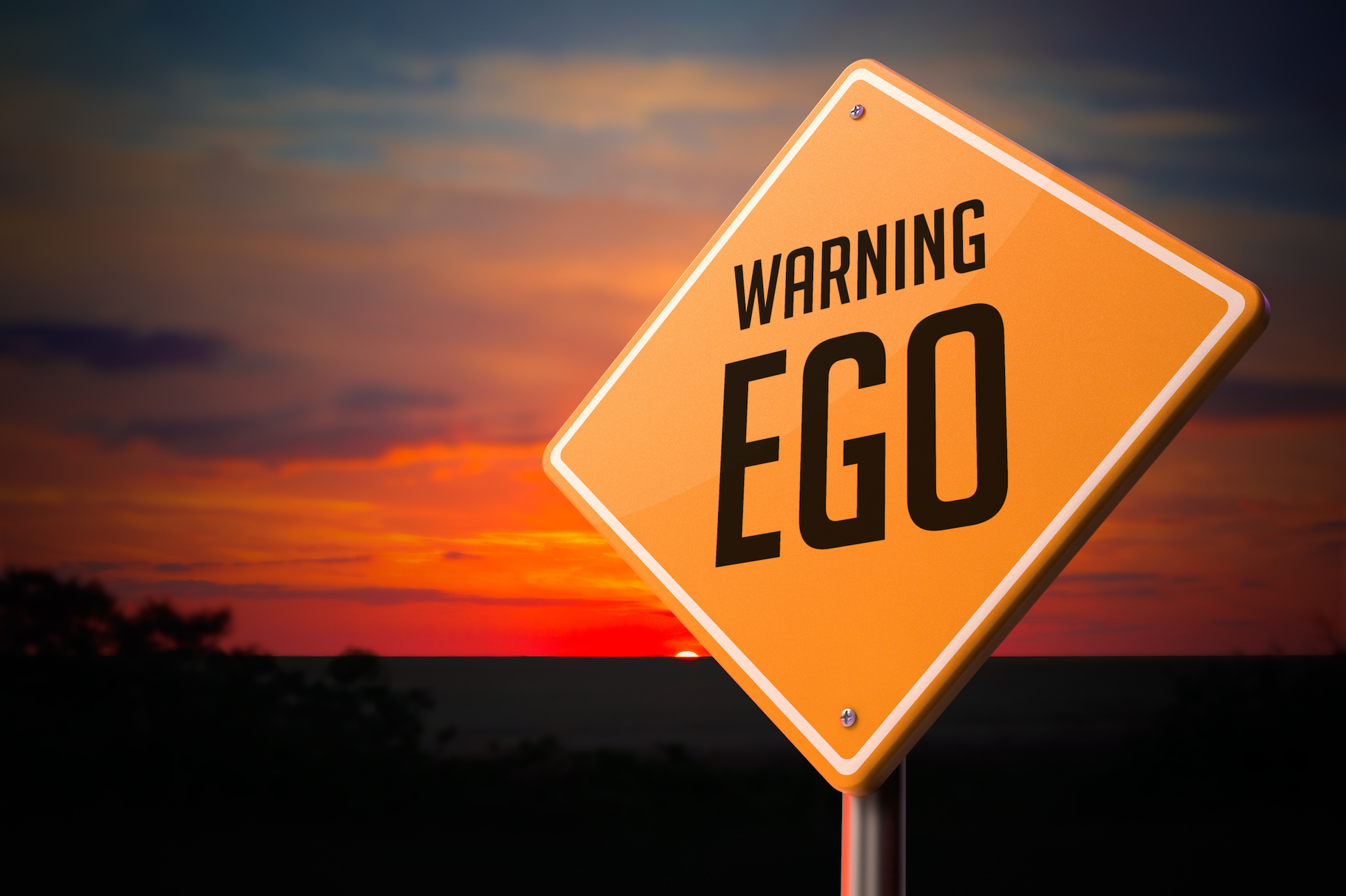 Read more about the article Ego is Not the Problem