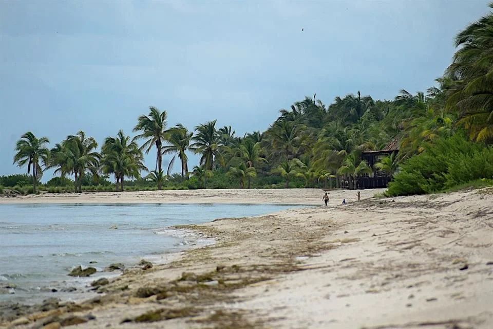¡Escándalo de Alito Moreno! tiene su playa privada en Campeche