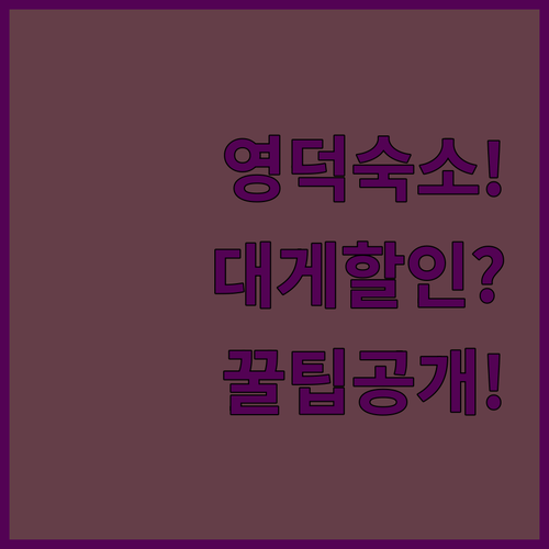 오션뷰부터 대게 할인까지 영덕 숙소 추천 완벽 가이드